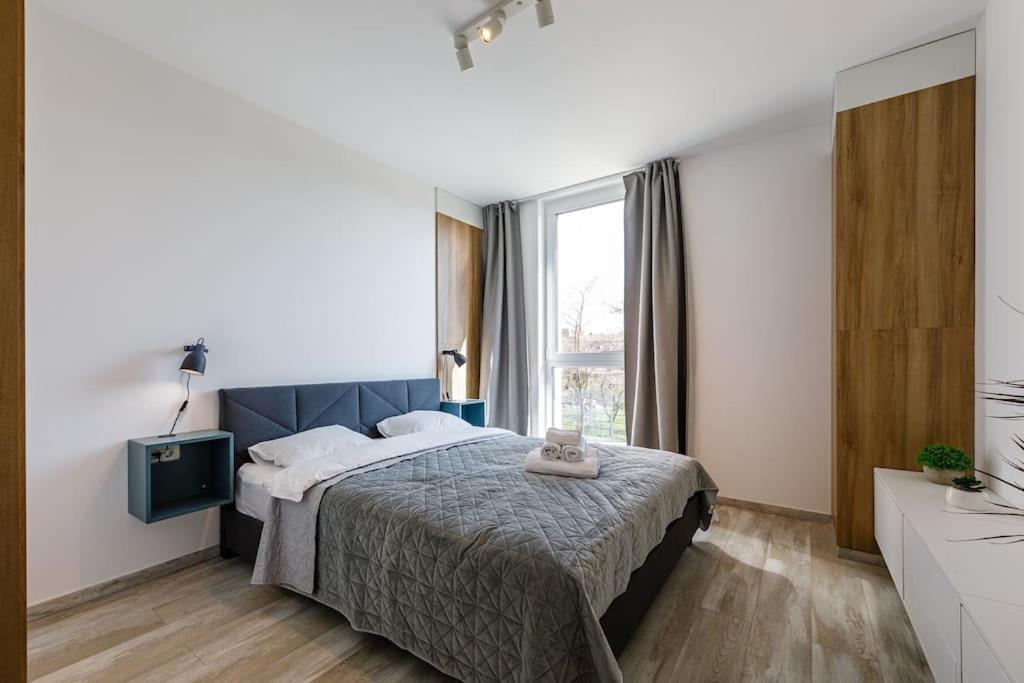 Luxury Apt. Near River & Parking Тимишоара Экстерьер фото
