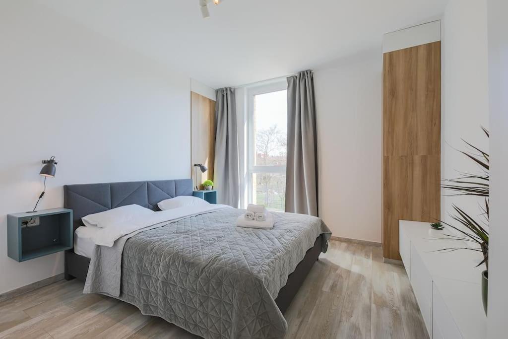 Luxury Apt. Near River & Parking Тимишоара Экстерьер фото