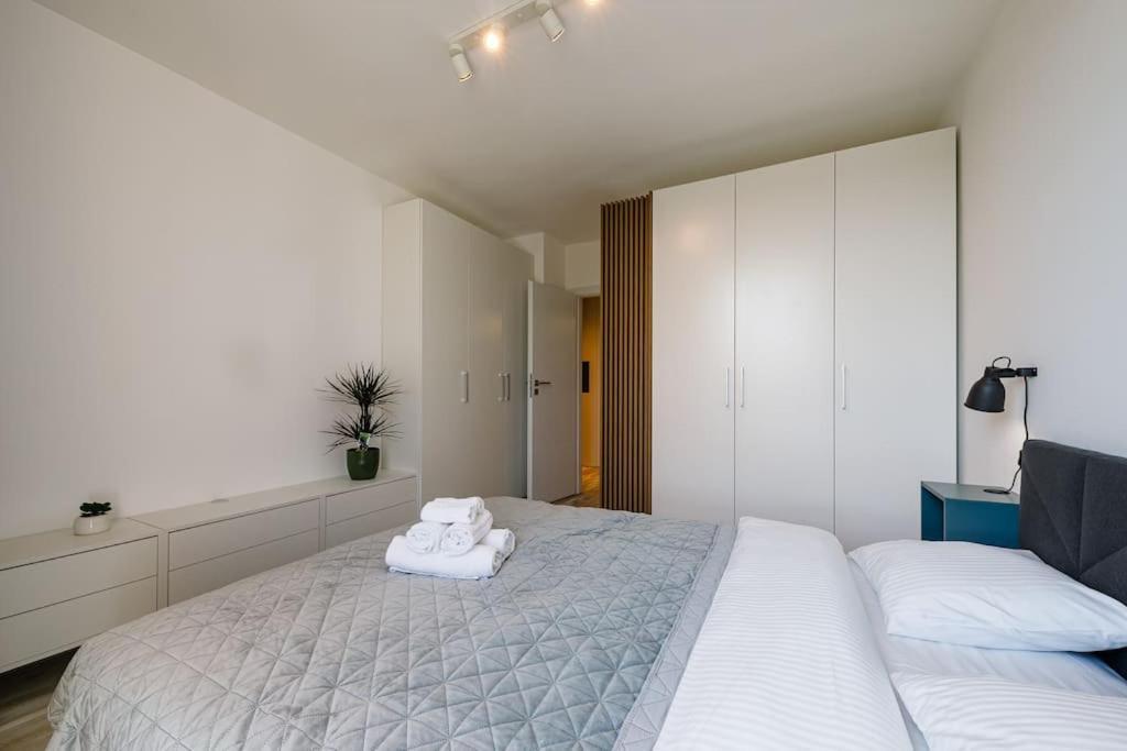 Luxury Apt. Near River & Parking Тимишоара Экстерьер фото