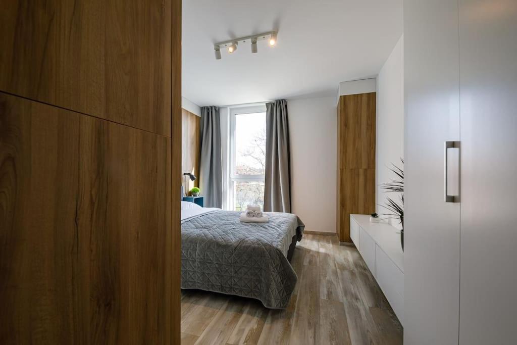 Luxury Apt. Near River & Parking Тимишоара Экстерьер фото