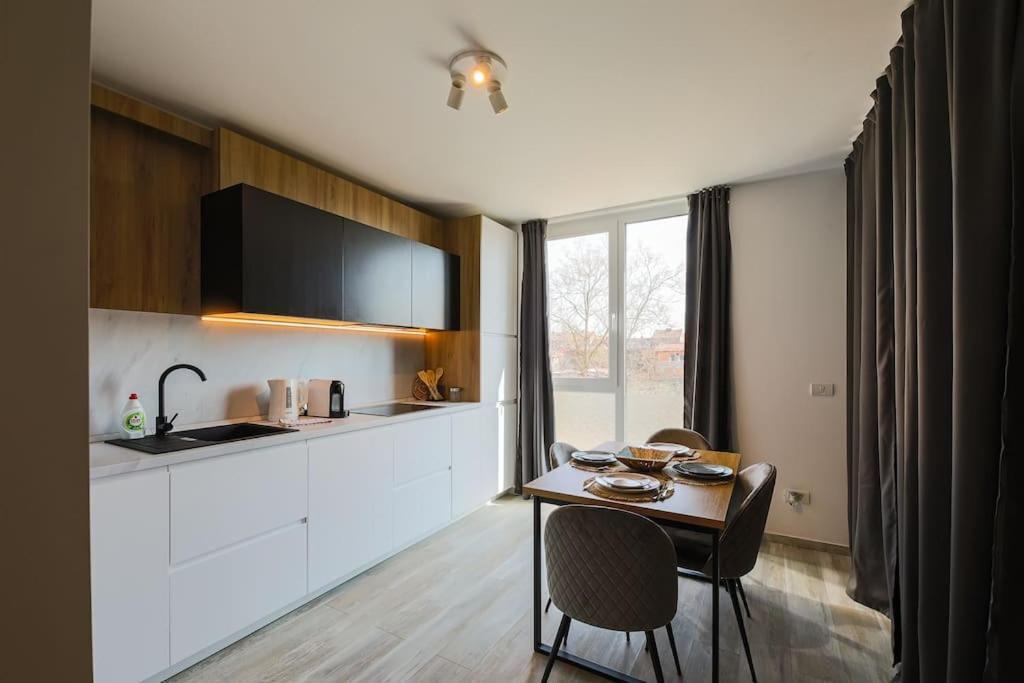 Luxury Apt. Near River & Parking Тимишоара Экстерьер фото