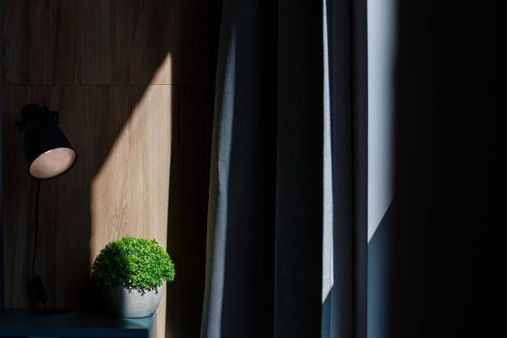 Luxury Apt. Near River & Parking Тимишоара Экстерьер фото